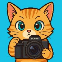 shogo.films