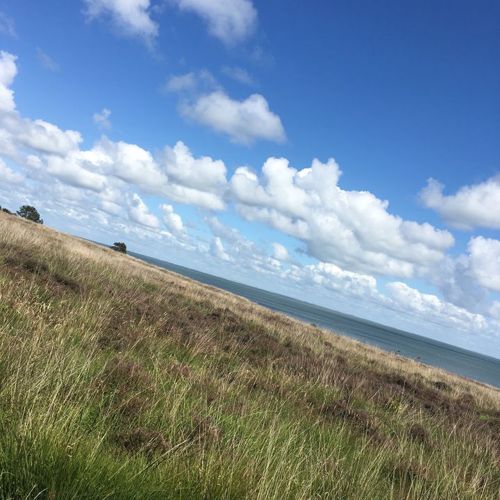 fischijammi