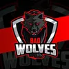 Bad Wolves - @badwolves_esport - TikTok