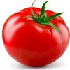 TOMATO - @aaron.royston - TikTok