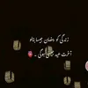 sajidhaider321 - @alizazaman7 - TikTok