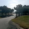 cicili _qız088 - @cicili._qz088 - TikTok