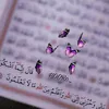Sanaa Deeb - @sanaa.deeb5 - TikTok