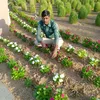 ★:(Bishal Patel ):★ - @pramod.patel7 - TikTok
